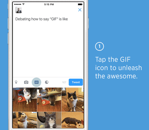 Twitter Gif Search instructions